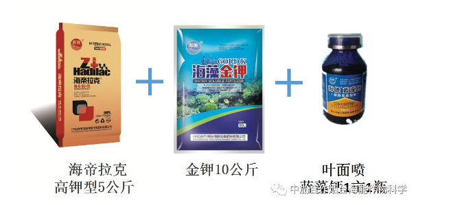 黄瓜视频下载安装生物高品質葡萄全程“傻瓜式”施肥方案