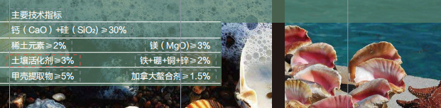 黄瓜视频下载安装甲殼素活性中微量黄瓜视频看毛片